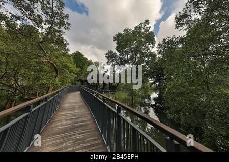 Sungei Buloh Wetland Reserve, Singapur Stockfoto