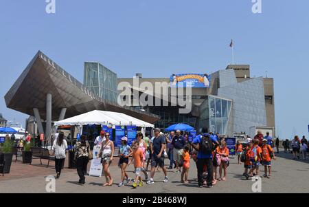 New England Aquarium, zentrale Wharf Boston, Massachusetts, USA Stockfoto