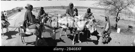 Indianer Zigeuner Stammesreitesel, Makara Stamm, Veraval, Gir Somnath Bezirk, Saurashtra, Gujarat, 1963, alter Jahrgang 1900s Bild Stockfoto