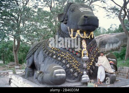 Bull chamundi in mysore in karnataka Indien, Asien Stockfoto