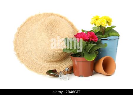 Blumen, Gartenwerkzeuge und Strohhut isoliert auf weißem Hintergrund Stockfoto