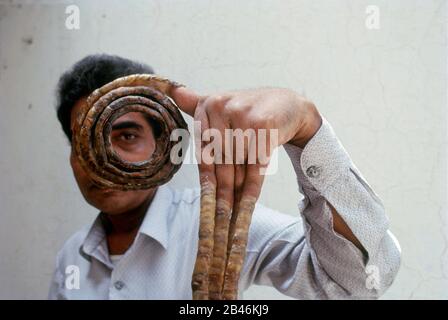 Shridhar Chillal, längste Fingernägel-Weltrekord, Indien, Asien Stockfoto