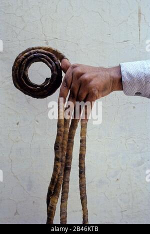 Shridhar Chillal , längste Fingernägel Weltrekord , Indien , Asien Stockfoto