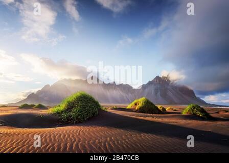 Wunderschöne Landschaft mit schwarzen Sanddünen und grasigen Buchten in der Nähe berühmter Stokksnes Berge am Vestrahorn cape, Island Stockfoto