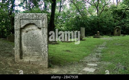 Europa, Polen, Lubliner Provinz, Lubliner Stadt, in der Altstadt das alte jüdische Cemetry Stockfoto
