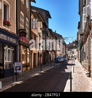 Frankreich, die Stadt Tournus, das Bourgogne-Franche-Comté, Tournus, das antike römische castrum, ist seit dem VI. Jahrhundert dank eines Heiligtums bekannt, das dem heiligen Valerian gewidmet ist, das im zweiten Jahrhundert gemartert wurde. Mit der Ankunft der aus Noirmoutier stammenden Mönche, die die Reliquien des Patrons Sankt Philibert mit sich führten, wurde die Stadt ab dem neunten Jahrhundert zu einem wichtigen religiösen Zentrum. Stockfoto