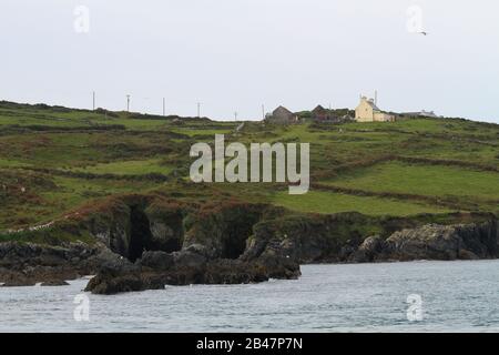 Ländliches Zuhause und Telegrafenmasten auf Ackerland über Klippen, die durch den Atlantischen Ozean bei Cape Clear Island, einer irischen Insel und Gaeltacht-Gemeinde erodiert wurden. Stockfoto