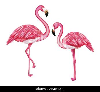 Lackierte rosafarbene Flamingos auf weiß isoliertem Hintergrund Stockfoto