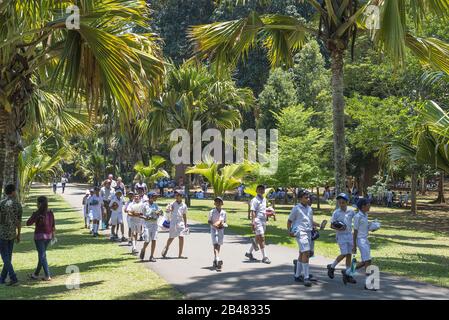 Kandy, Sri Lanka: 19.03.2019: Schulkinder der Peradeniya Botanical Gardens in einheitlichen Spaziergängen in den Gärten. Stockfoto