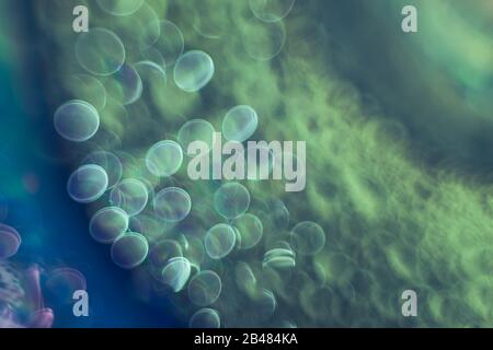 Wunderschönes abstraktes Bokeh. Hintergrundmuster für das Design. Stockfoto