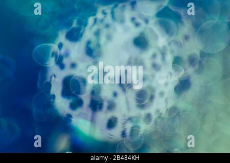 Wunderschönes abstraktes Bokeh. Hintergrundmuster für das Design. Stockfoto