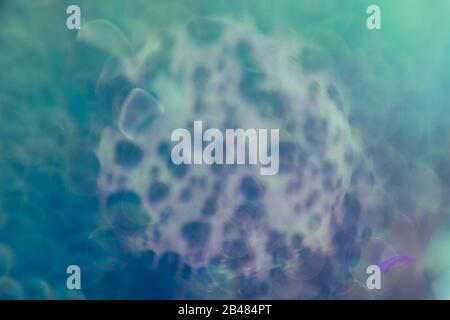 Wunderschönes abstraktes Bokeh. Hintergrundmuster für das Design. Stockfoto