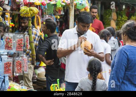 Nuwara Eliya, Sri Lanka: 20.03.2019: Traditionelles Obst- und Veg-Geschäft, Mann trinkt aus Kokosnuss. Stockfoto