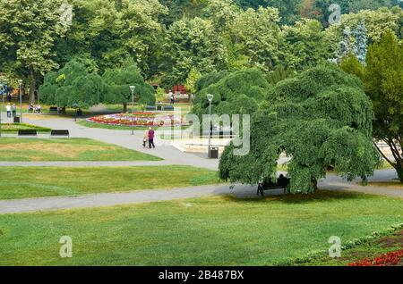 Schöner Stadtpark von Vrnjacka Banja, mit alten üppigen Bäumen, in Serbien Stockfoto