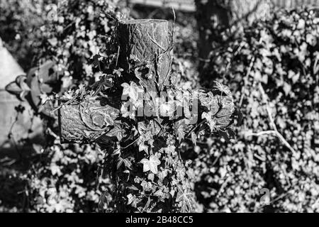 Friedhof bei Sonnenschein im Winter Stockfoto