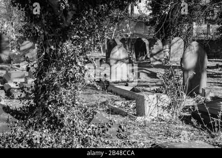 Friedhof bei Sonnenschein im Winter Stockfoto