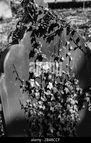 Friedhof bei Sonnenschein im Winter Stockfoto