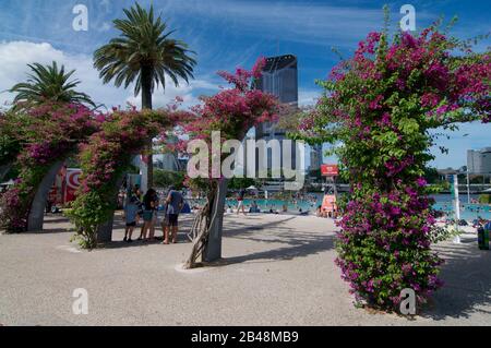 Brisbane, Queensland, Australien - 27. Januar 2020: Blick auf den künstlichen Strandabschnitt der South Bank und die Pools an einem sonnigen Tag mit vielen Touristen Stockfoto