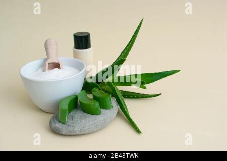 Kosmetische Produkte von Aloe vera. Salzscheule, Körpercreme, Kerze, Aloe Plant, Scheiben auf Stein. Stockfoto