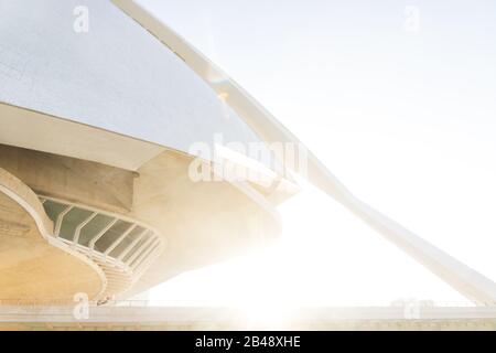 Valencia, Spanien - 17. Februar 2020: Details zu Palau des Arts Reina Sofia mit Hintergrundbeleuchtung in der Stadt der Künste und Wissenschaften, die von den Architekten Santiga entworfen wurde Stockfoto