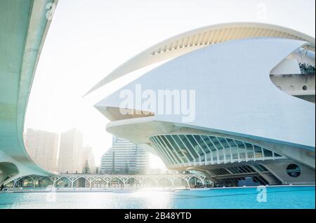 Valencia, Spanien - 17. Februar 2020: Vor Palau des Arts Reina Sofia in der Stadt der Künste und Wissenschaften, die von den Architekten Santiago Calatrava und entworfen wurde Stockfoto