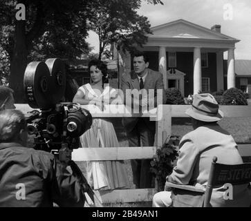 Riese, 1956 Stockfoto