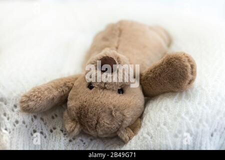 Teddybär wurde für Informationen bei der Einrichtung eines Baby-Fotosatzes zur Beleuchtung von Hintergrund- und Kameraeinstellungen verwendet, bevor das Baby vorgestellt wird Stockfoto