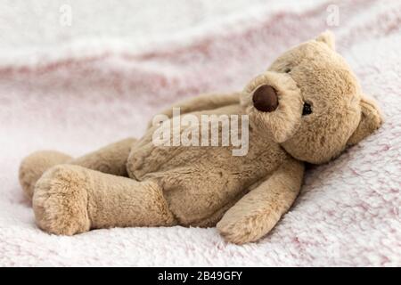 Teddybär wurde für Informationen bei der Einrichtung eines Baby-Fotosatzes zur Beleuchtung von Hintergrund- und Kameraeinstellungen verwendet, bevor das Baby vorgestellt wird Stockfoto