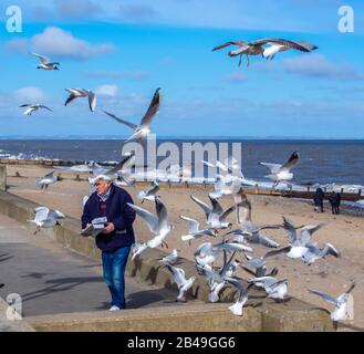 Ein Mann mit Fisch und Pommes, der am Strand von Möwen gemobbt wird Stockfoto