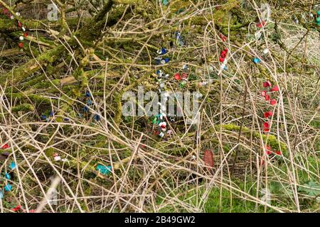 Feenfolklorecht Altes irisches Waldland Schutz von Feenlandbäumen und Vegetation durch Aufhängen farbiger Kunststoffteile an Ästen und Holzstämmen Stockfoto