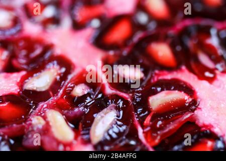 Makro-Vollbild-Nahaufnahme von rot glänzenden saftigen Granatapfelsamen (Schwerpunkt auf Samen im unteren Drittel) Stockfoto