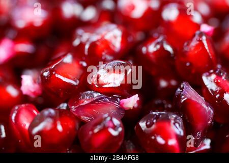 Makro-Vollbild-Nahaufnahme von rot glänzenden, saftigen Granatapfelsamen (Fokus auf Mitte) Stockfoto