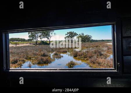 Vogelschutzgebiet in der Laguna Salada de la Mata, Torrevieja, Costa Blanca, Spanien Stockfoto