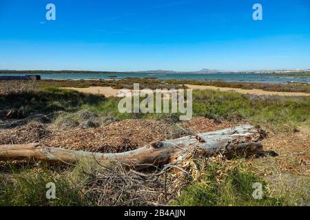 Vogelschutzgebiet in der Laguna Salada de la Mata, Torrevieja, Costa Blanca, Spanien Stockfoto