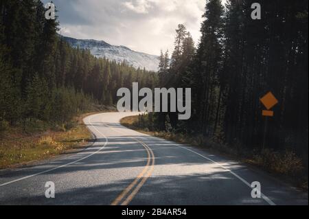 Fahrt auf der Autobahn mit Sonnenlicht durch den Wald im Banff National Park, Kanada Stockfoto