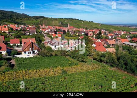 Frankreich, Haut Rhin, die Elsaß Weinstraße, Riquewihr, die Schönsten Dörfer Frankreichs, Häuser am Rande der Weinberge (Luftbild) Stockfoto