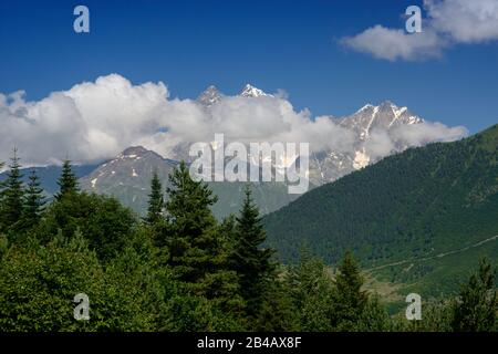 Ushba - einer der bemerkenswertesten Gipfel des Kaukasusgebirges, der mit Wolken bedeckt ist. Grüne Bäume im Vordergrund. Stockfoto