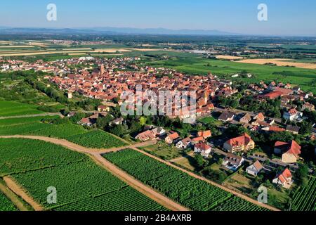 Frankreich, Haut Rhin, die Elsaß Weinstraße, Bergheim, alte mittelalterliche Befestigungsstadt und das deutsche Schwarzwaldmassiv im Hintergrund (Luftbild) Stockfoto