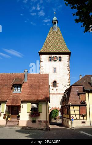 Frankreich, Haut Rhin, die Elsaß Weinstraße, Bergheim, das Hochtor aus dem 14. Jahrhundert Stockfoto