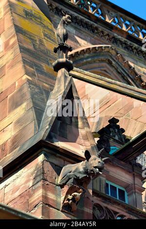 Frankreich, Bas Rhin, Straßburg, Altstadt, die von der UNESCO zum Weltkulturerbe erklärt wurde, Kathedrale Notre Dame, Südfassade, Chimären und Wasserspeier auf einer fliegenden Buttress, Einhorn Stockfoto