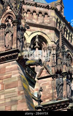 Frankreich, Bas Rhin, Strasbourg, Altstadt, die von der UNESCO zum Weltkulturerbe erklärt wurde, Kathedrale Notre Dame, Südfassade, Chimären und Wasserspeier auf einem fliegenden Buttress, Schwein und Hund Stockfoto