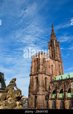 Frankreich, Bas Rhin, Straßburg, Altstadt, die von der UNESCO zum Weltkulturerbe erklärt wurde, Kathedrale Notre Dame vom Palais Rohan aus gesehen Stockfoto