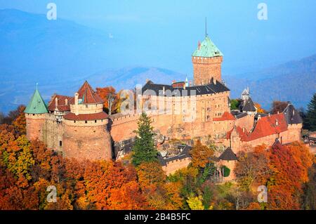 Frankreich, Bas Rhin, Orschwiller, Elsaß Weinstraße, Schloss Haut Koenigsbourg (Luftbild) Stockfoto