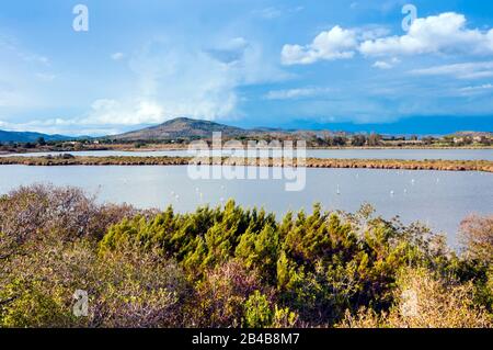 Italien, Toskana, Capalbio, Provinz Grosseto, Maremma, Burano Lake WWF Oasis Stockfoto