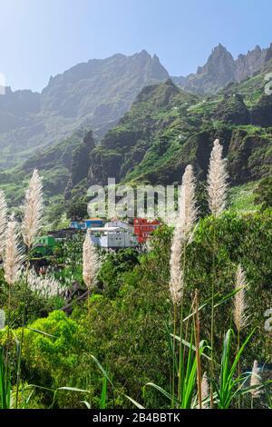 Kap Verde, Insel Santo Antao, das grüne Tal von Ribeira do Paul, Dorf Lombinho Stockfoto