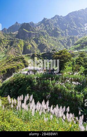 Kap Verde, Insel Santo Antao, das grüne Tal von Ribeira do Paul Stockfoto