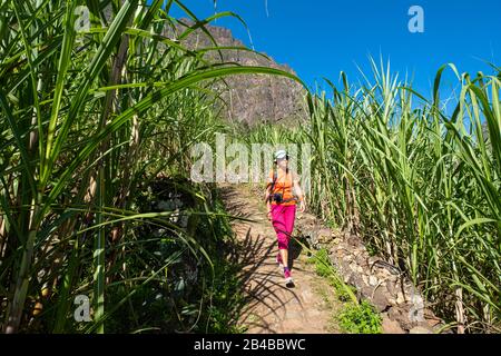 Kap Verde, Insel Santo Antao, Wanderung im grünen Tal von Ribeira do Paul Stockfoto