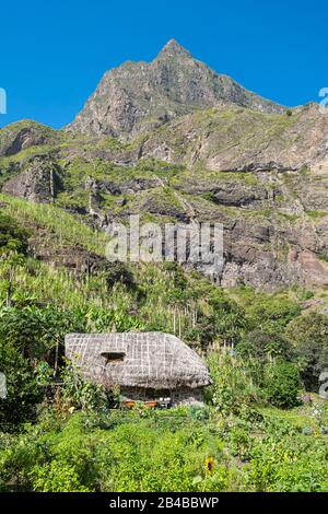 Kap Verde, Insel Santo Antao, das grüne Tal von Ribeira do Paul Stockfoto