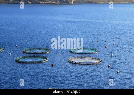 Aquakultursiedlung, Fischfarm mit schwimmenden Kreiskäfigen rund um die Bucht von Attika in Griechenland. Stockfoto