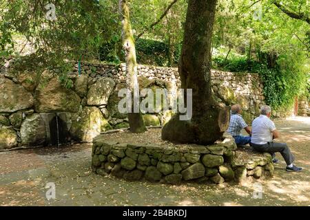 Italien, Sardinien, Provinz Oristano, San Leonardo di Siete Fuentes, Quelle Stockfoto